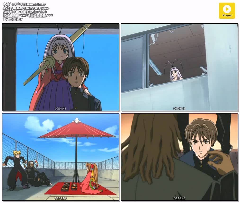 插图:《天上天下》粤日双语版全26集 | 480P高清+中文字幕 | 粤语动画 | 百度网盘/夸克网盘，编号:523