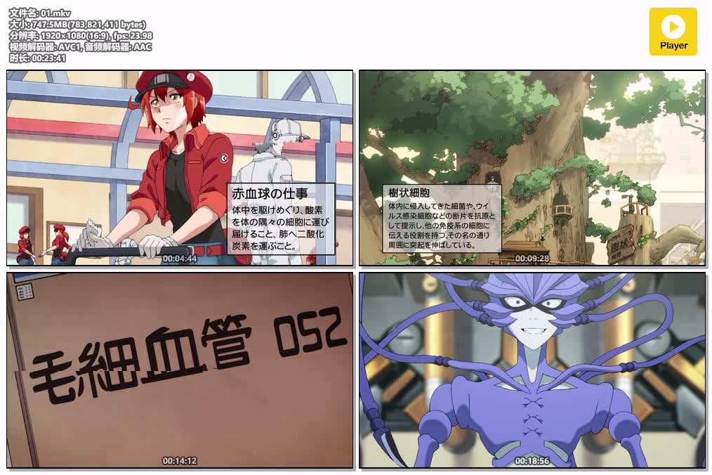 插图:《工作细胞》粤日双语版全14集 | 1080P高清+中文字幕 | 粤语动画 | 百度网盘/夸克网盘，编号:726