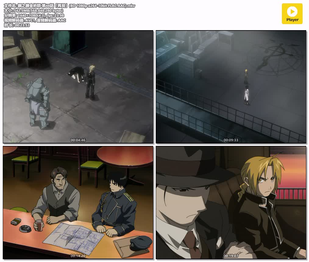 插图:《钢之炼金术师2003》粤日双语合成版全51集 | 1080P高清+外挂中文字幕 | 粤语动画 | 百度网盘/夸克网盘，编号:35