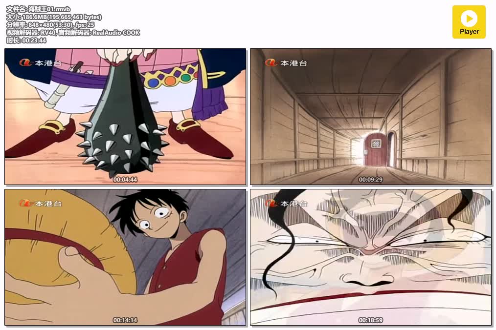 插图:《海賊王》粤语版全52集 | 480P高清+无字幕 | 粤语动画 | 百度网盘/夸克网盘，编号:156