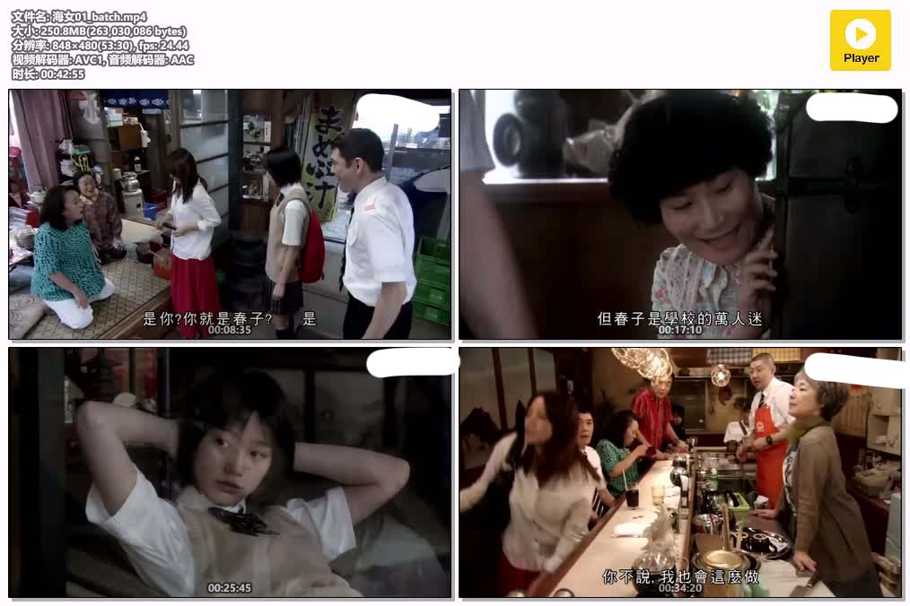 插图:《海女》粤语版全52集 | 480P高清+中文字幕 | 粤语动画 | 百度网盘/夸克网盘，编号:528
