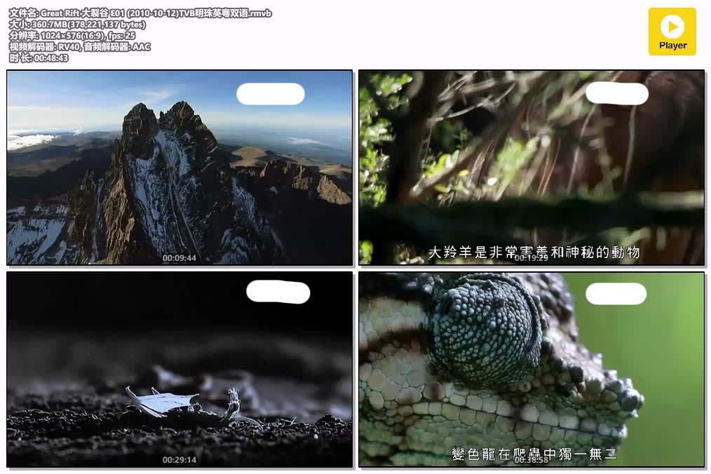 插图:《大裂谷》粤配纪录片全3集 | 全球文明探秘 | 百度网盘/夸克网盘，编号:455