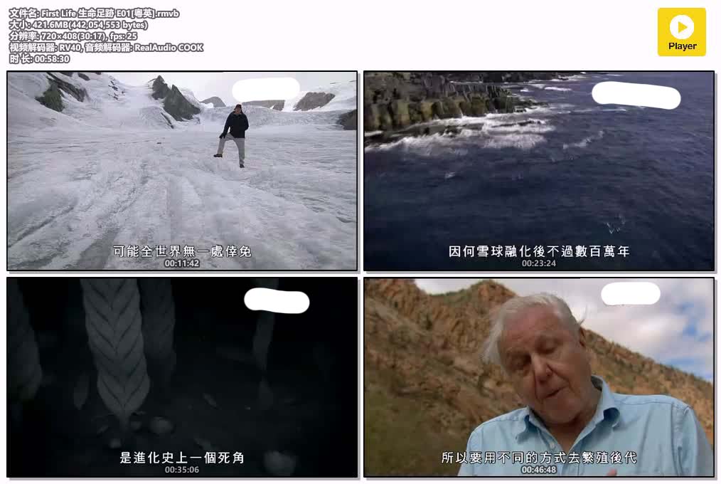 插图:《生命足跡》粤配纪录片全2集 | 全球文明探秘 | 百度网盘/夸克网盘，编号:534