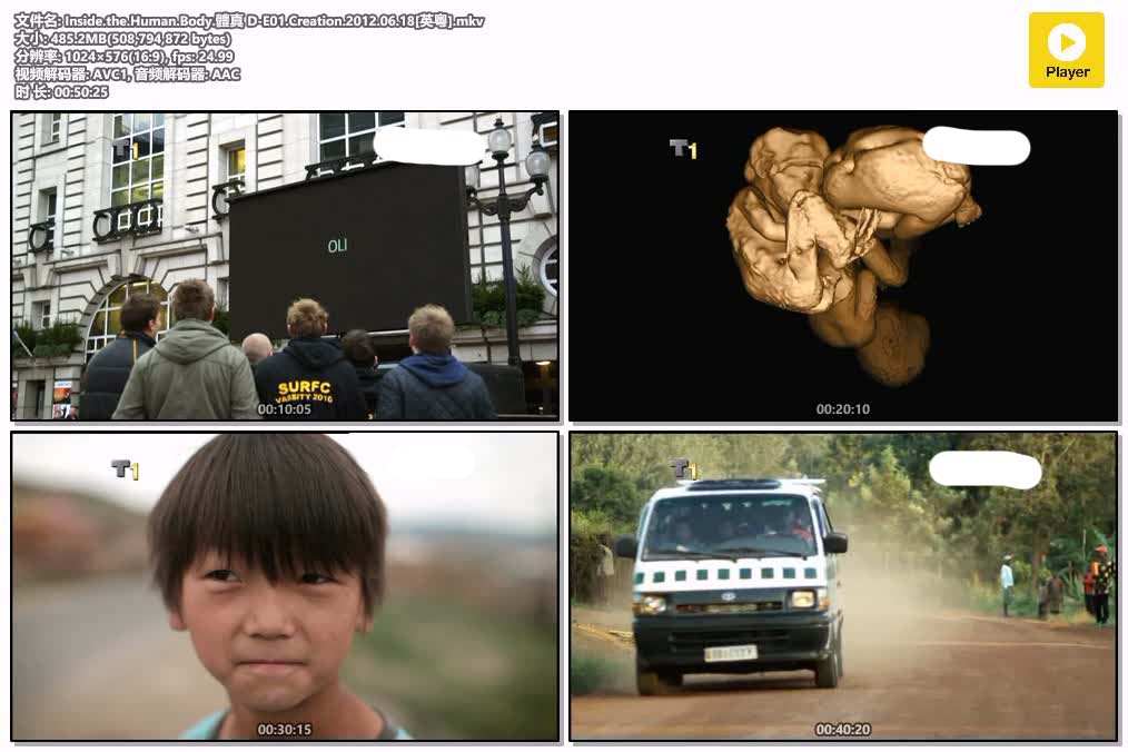插图:《體真 D》粤配纪录片全4集 | 全球文明探秘 | 百度网盘/夸克网盘，编号:113