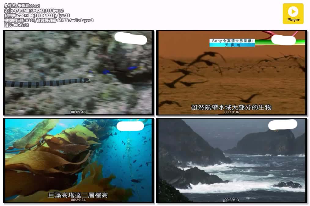 插图:《天與地》粤配纪录片全2集 | 全球文明探秘 | 百度网盘/夸克网盘，编号:491