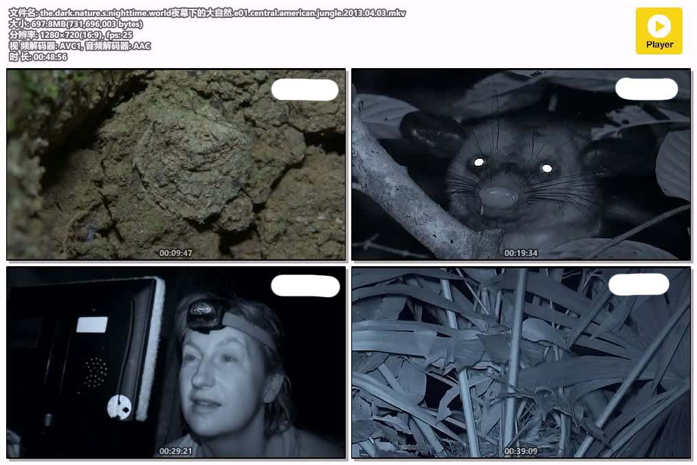 插图:《夜幕下的大自然》粤配纪录片全3集 | 全球文明探秘 | 百度网盘/夸克网盘，编号:5