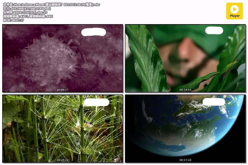 插图:《種出個地球？》粤配纪录片全3集 | 全球文明探秘 | 百度网盘/夸克网盘，编号:493
