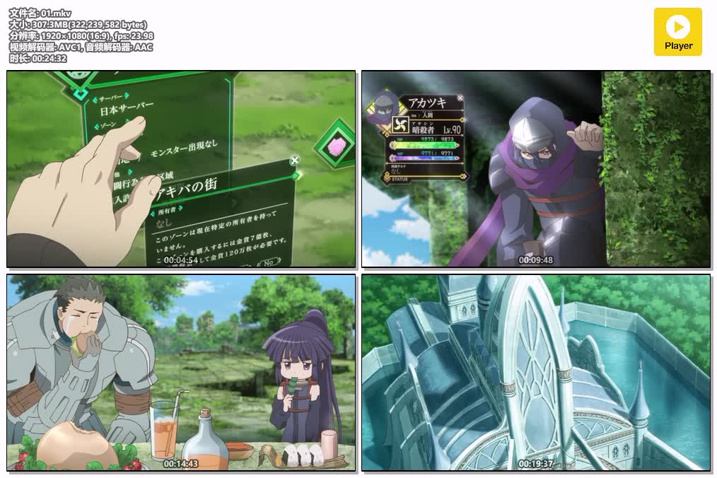 插图:《记录的地平线第一季》粤日双语版全25集 | 1080P高清+中文字幕 | 粤语动画 | 百度网盘/夸克网盘，编号:329