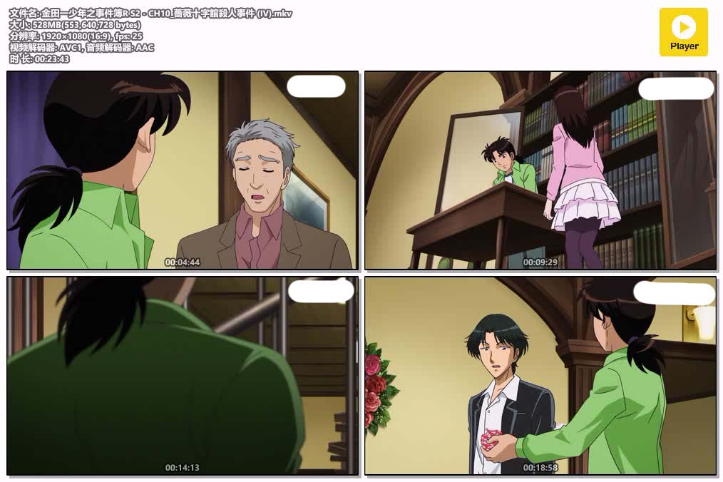 插图:《金田一少年之事件簿R第二季》粤日双语版全22集 | 1080P高清+中文字幕 | 粤语动画 | 百度网盘/夸克网盘，编号:100