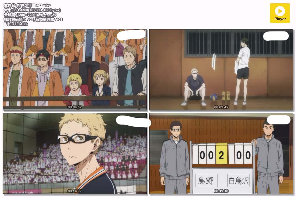 插图:《排球少年III》粤日双语版全10集 | 720P高清+中文字幕 | 粤语动画 | 百度网盘/夸克网盘，编号:370