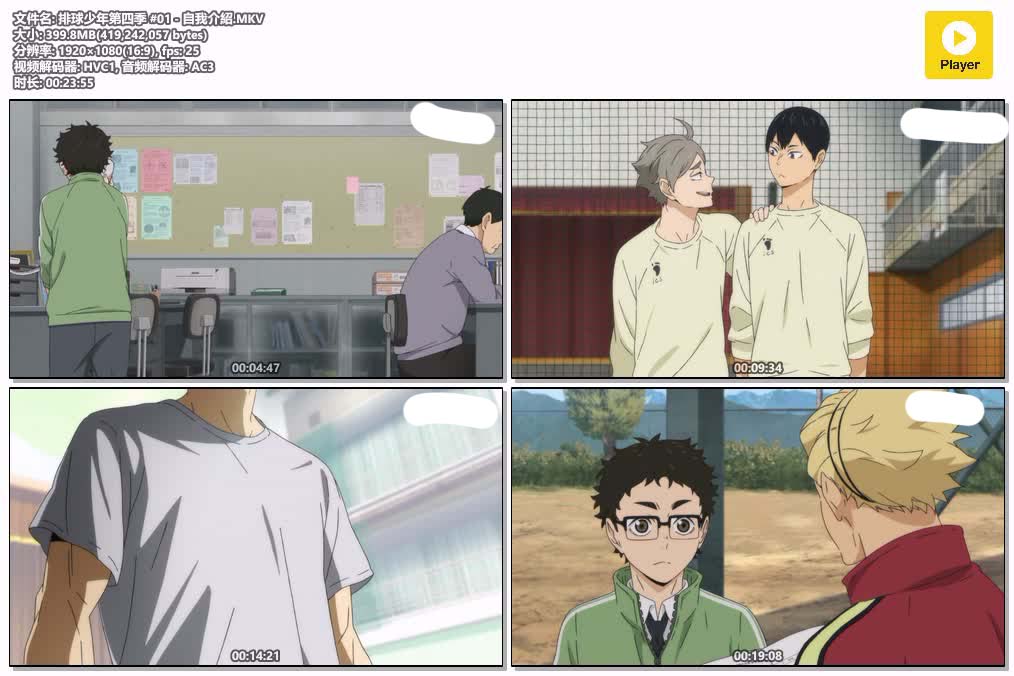 插图:《排球少年IV》粤日双语版全25集 | 1080P高清+中文字幕 | 粤语动画 | 百度网盘/夸克网盘，编号:351