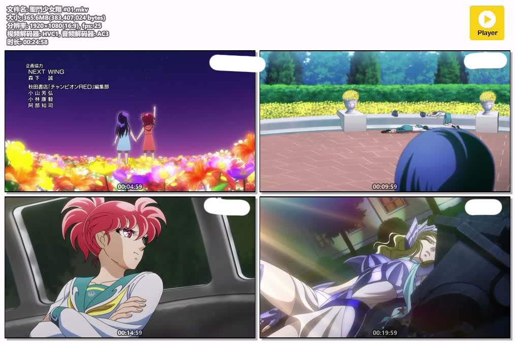 插图:《2018 聖鬥少女翔》粤日双语版全10集 | 1080P高清+中文字幕 | 粤语动画 | 百度网盘/夸克网盘，编号:52