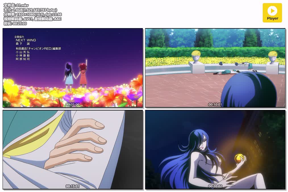 插图:《聖鬥少女翔》粤日双语版全10集 | 1080P高清+中文字幕 | 粤语动画 | 百度网盘/夸克网盘，编号:339