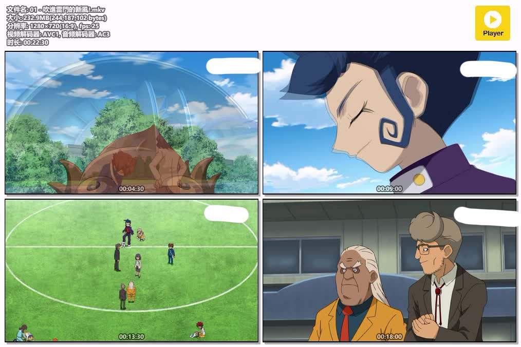 插图:《闪电十一人 GO 第一季》粤日双语版全45集 | 720P高清+中文字幕 | 粤语动画 | 百度网盘/夸克网盘，编号:754