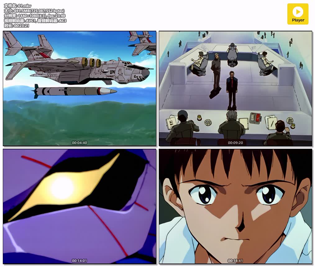 插图:《新世纪福音战士》+剧场版 粤日双语版全26集 | 1080P高清+中文字幕 | 粤语动画 | 百度网盘/夸克网盘，编号:370