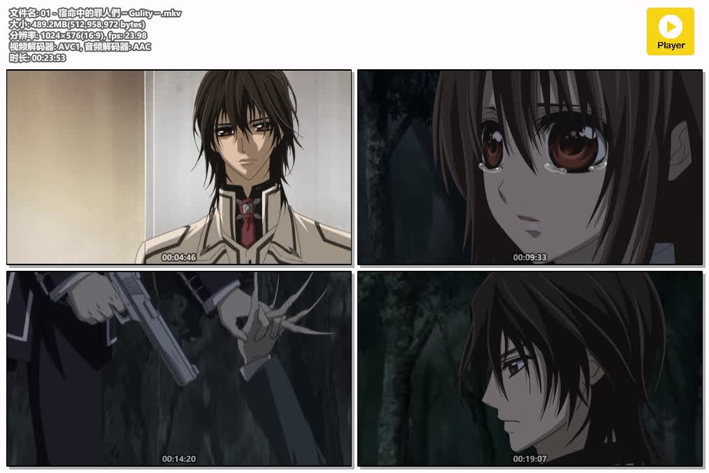 插图:《吸血鬼騎士Guilty》粤日双语版全13集 | 576P高清+中文字幕 | 粤语动画 | 百度网盘/夸克网盘，编号:523