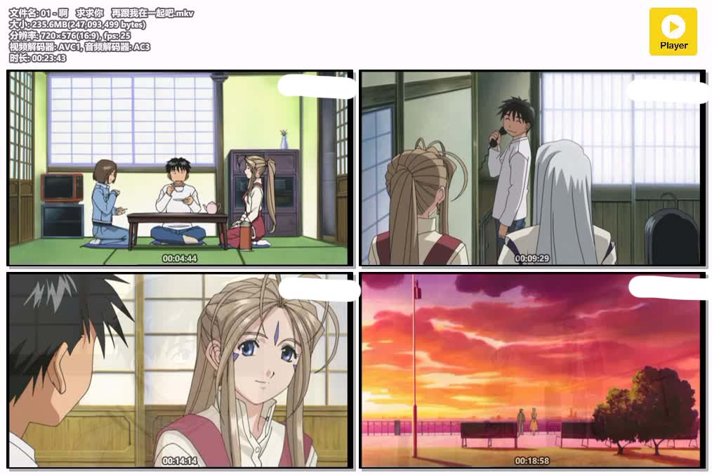 插图:《幸运女神 缤纷之翼》粤日双语版全24集 | 576P高清+中文字幕 | 粤语动画 | 百度网盘/夸克网盘，编号:903