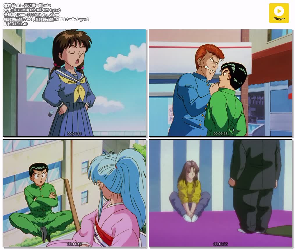 插图:《幽游白书》+剧场版 粤语版全112集 | 720P高清+中文字幕 | 粤语动画 | 百度网盘/夸克网盘，编号:907