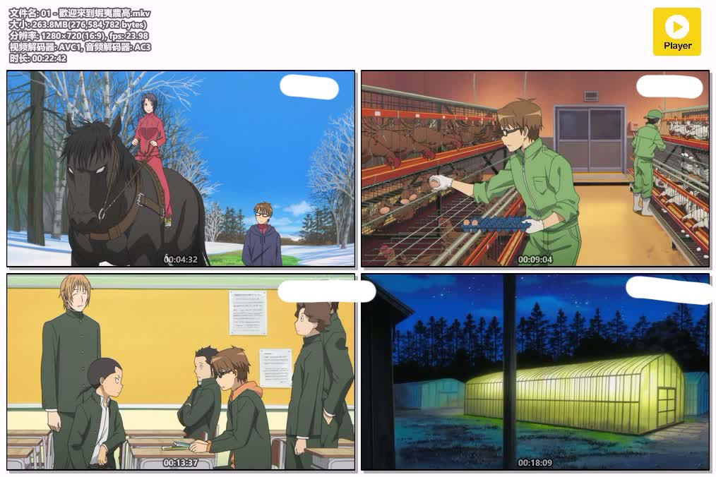 插图:《銀之匙1》粤日双语版全11集 | 720P高清+中文字幕 | 粤语动画 | 百度网盘/夸克网盘，编号:41