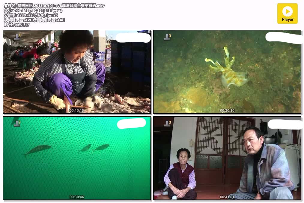 插图:《烏賊日記》粤配纪录片全1集 | 全球文明探秘 | 百度网盘/夸克网盘，编号:391