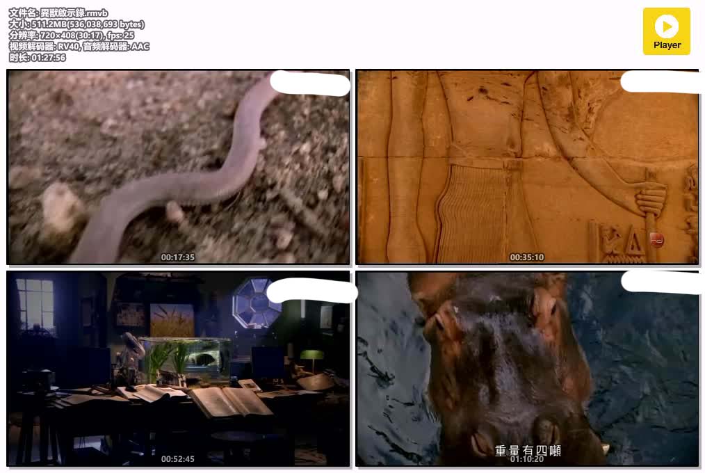 插图:《異獸啟示錄》粤配纪录片全1集 | 全球文明探秘 | 百度网盘/夸克网盘，编号:438