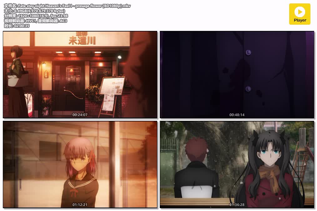 插图:《命运之夜——天之杯Ⅰ：恶兆之花》粤日双语版全1集 | 1080P高清+中文字幕 | 粤语动画 | 百度网盘/夸克网盘，编号:582
