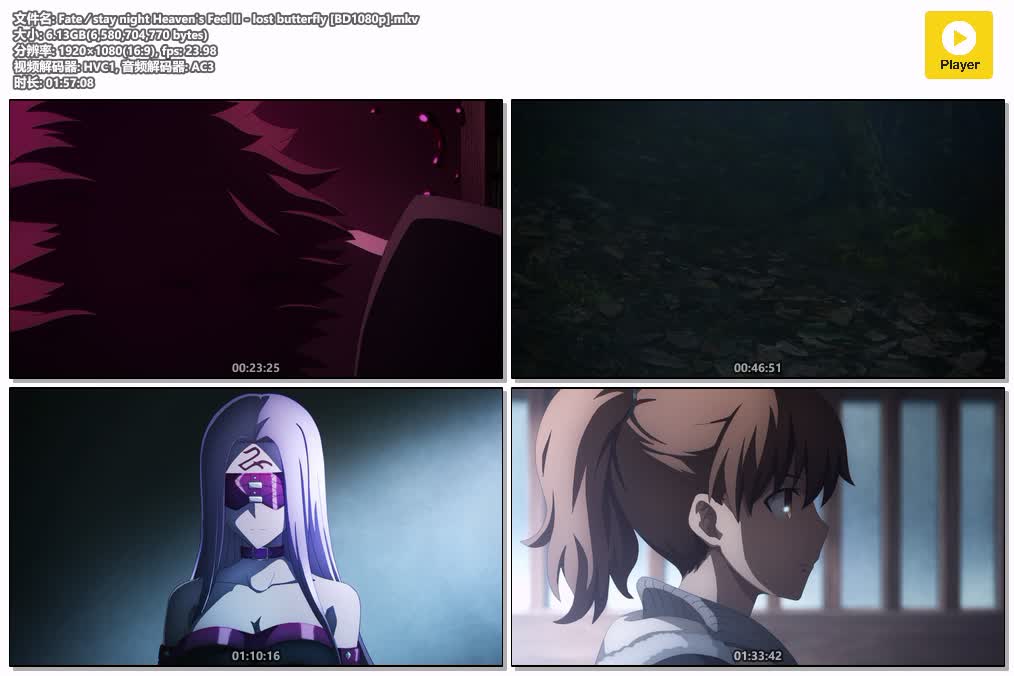 插图:《命运之夜——天之杯Ⅱ：迷失之蝶》粤日双语版全1集 | 1080P高清+中文字幕 | 粤语动画 | 百度网盘/夸克网盘，编号:679