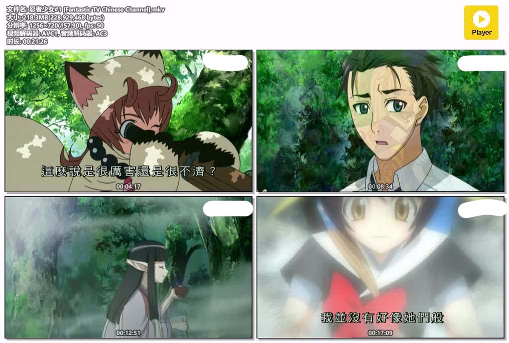 插图:《忍者少女S1》粤语版全13集 | 720P高清+中文字幕 | 粤语动画 | 百度网盘/夸克网盘，编号:150