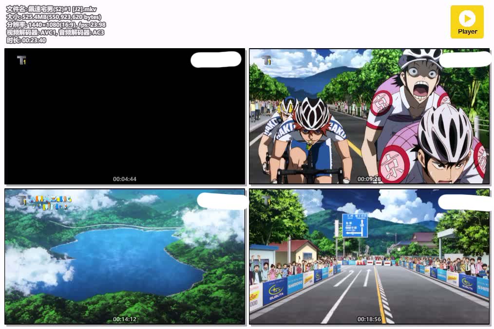 插图:《飆速宅男 第二季》粤日双语版全24集 | 1080P高清+中文字幕 | 粤语动画 | 百度网盘/夸克网盘，编号:388