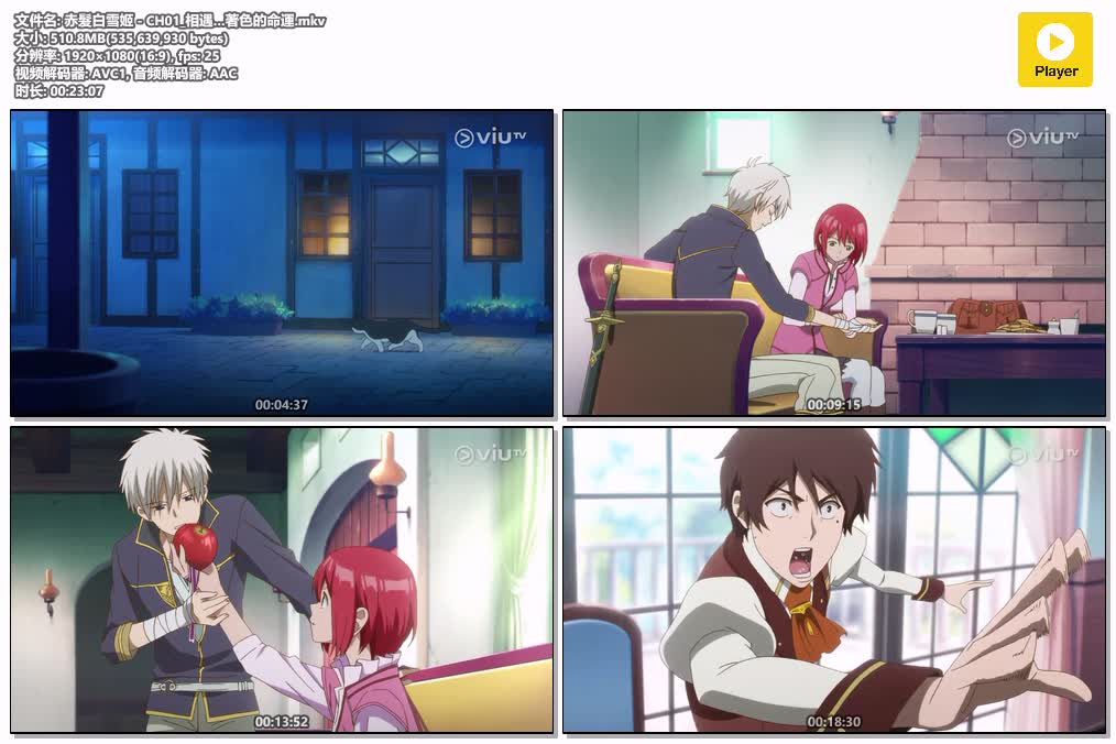 插图:《赤发白雪姬》粤语版全24集 | 1080P高清中文字幕 | 粤语动画 | 百度网盘/夸克网盘，编号:190
