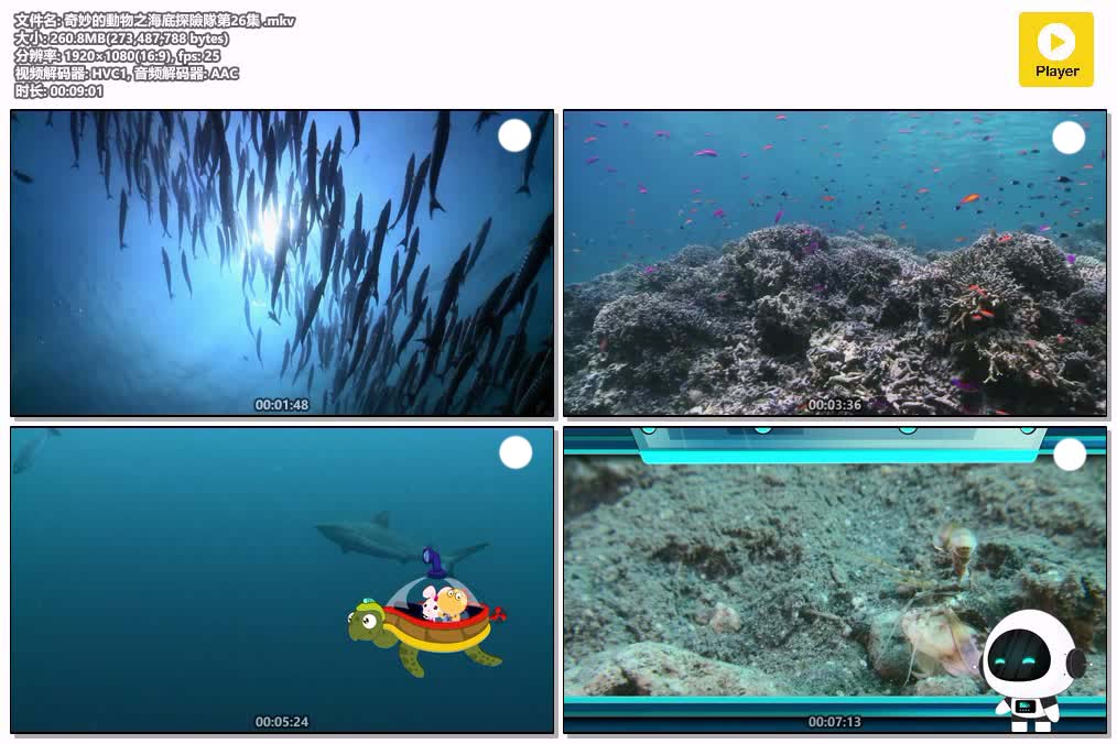 插图:《奇妙的動物之海底探險隊》(2016) [全26集] 粤国双语 1080P [百度网盘]，编号:674