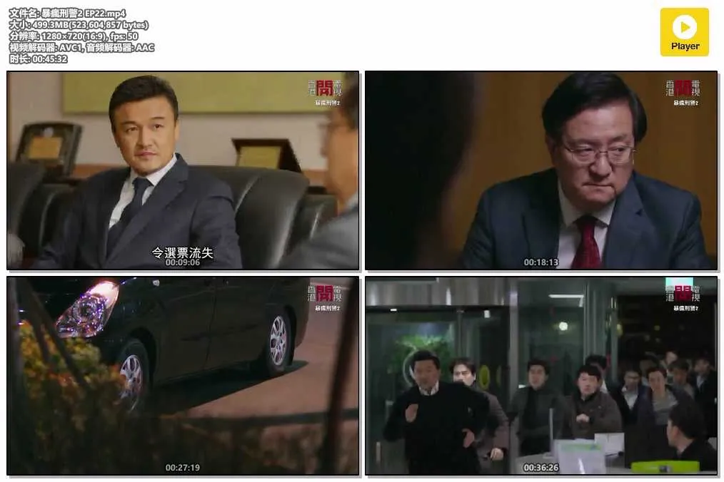 插图:《暴疯刑警2》(Bad Guys: City of Evil) (2017) [全22集] 粤语 720P [百度网盘]，编号:519