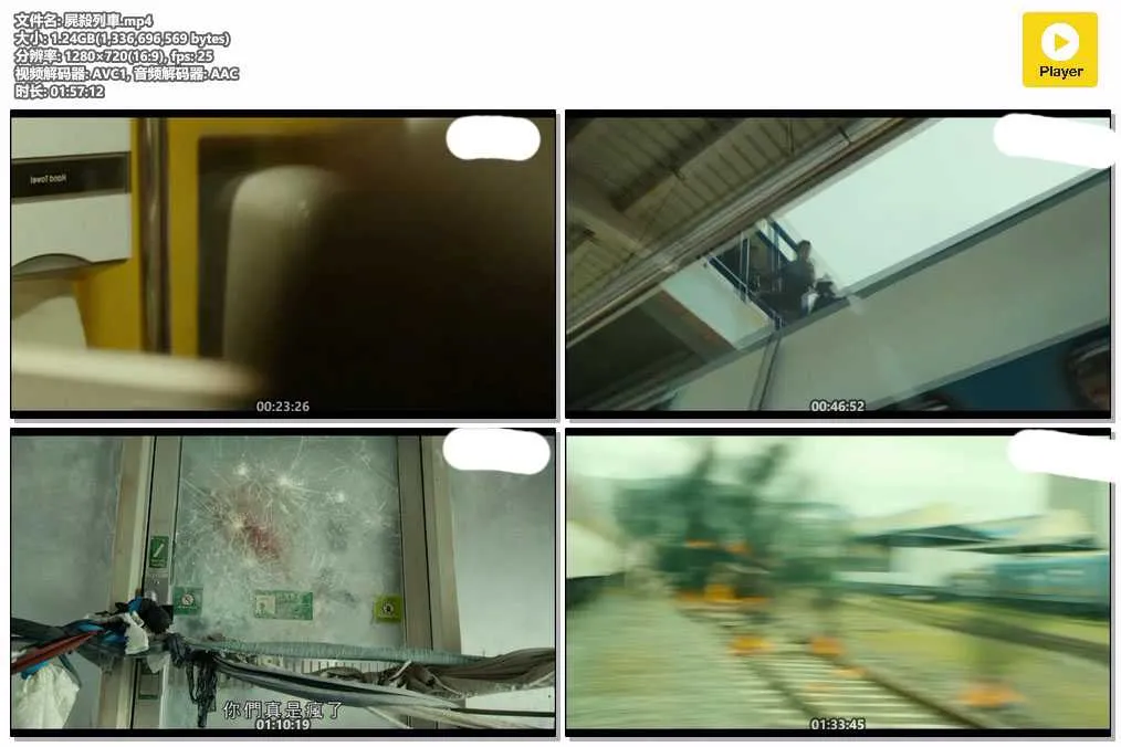 插图:《尸杀列车》(Train to Busan) (2016) [全1集] 粤语 720P [百度网盘]，编号:629