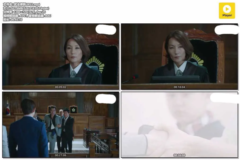 插图:《武法律师》(Lawless Lawyer) (2018) [全22集] 粤语 720P [百度网盘]，编号:685