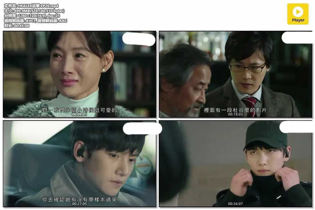 插图:《HEALER追击》(Healer) (2014) [全26集] 粤语 720P [百度网盘]，编号:346