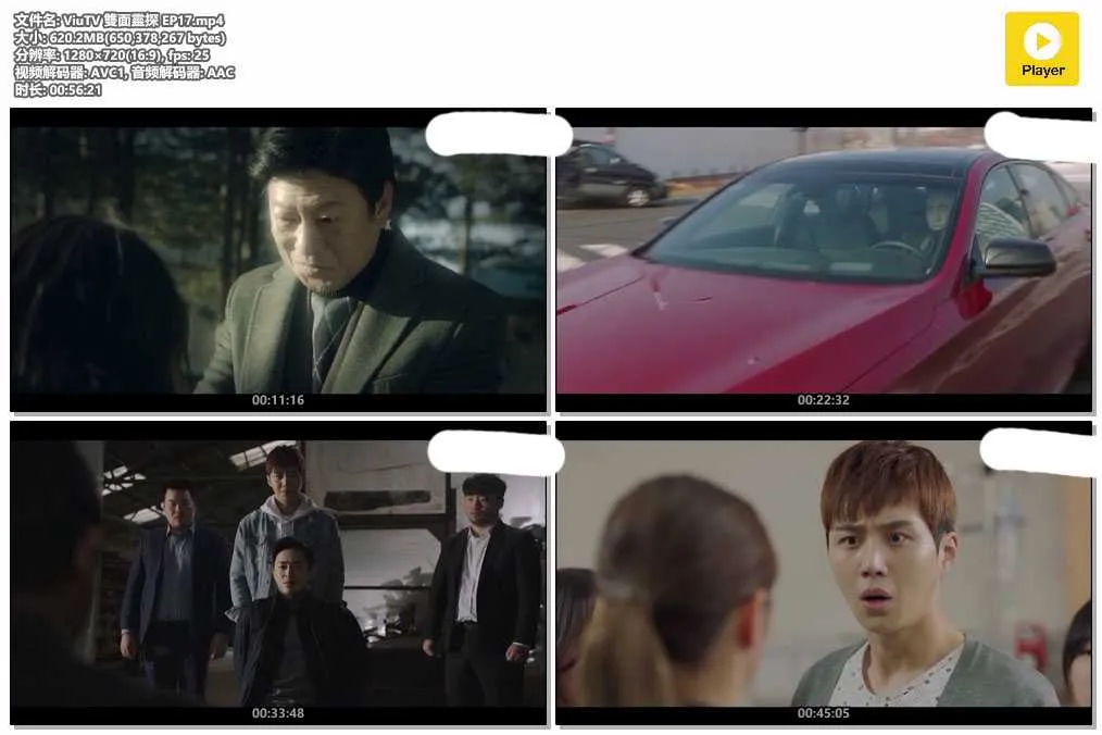 插图:《双面灵探》(Two Cops) (2017) [全17集] 粤语 720P [百度网盘]，编号:314