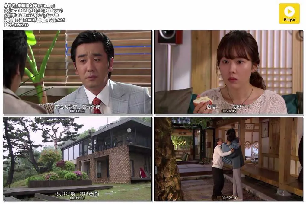 插图:《扮基追女仔》(Personal Taste) (2010) [全16集] 粤语 720P [百度网盘]，编号:308