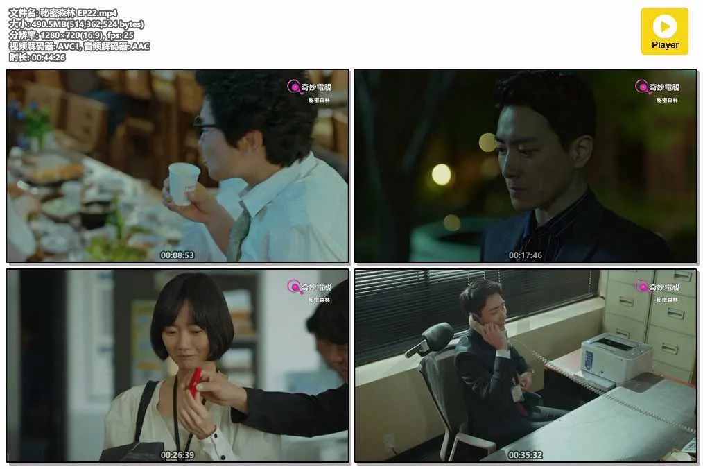 插图:《秘密森林》(Stranger) (2017) [全22集] 粤语 720P [百度网盘]，编号:354