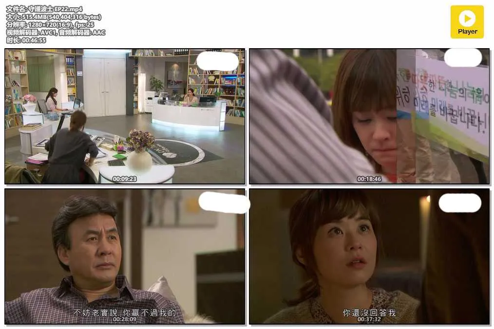 插图:《守护波士》(Protect the Boss) (2011) [全22集] 粤语 720P [百度网盘]，编号:609