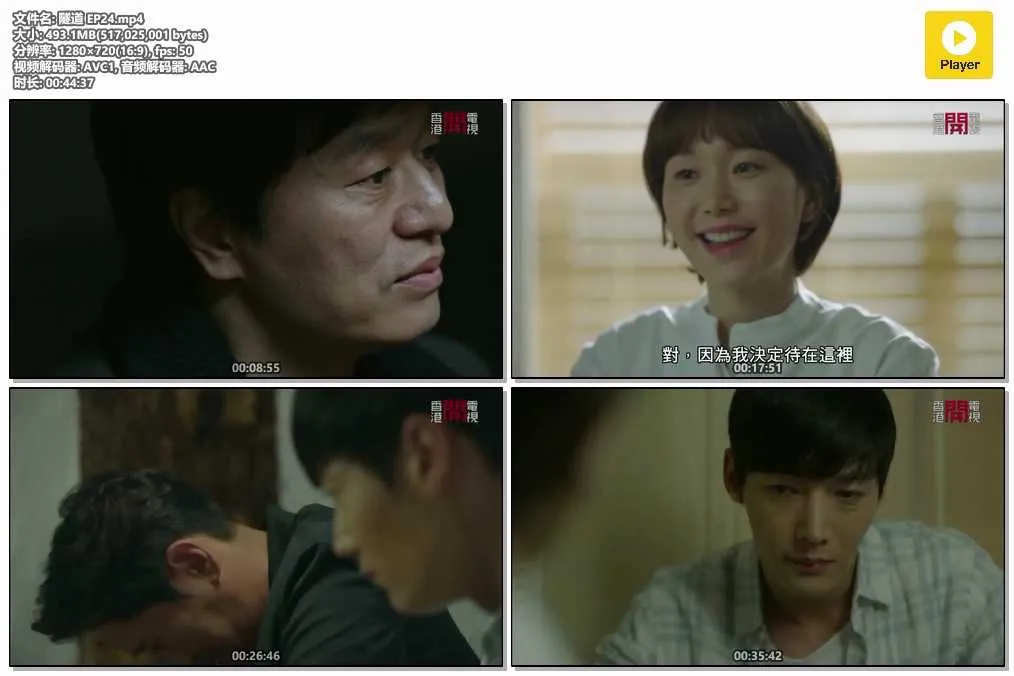 插图:《隧道》(Tunnel) (2017) [全24集] 粤语 720P [百度网盘]，编号:213