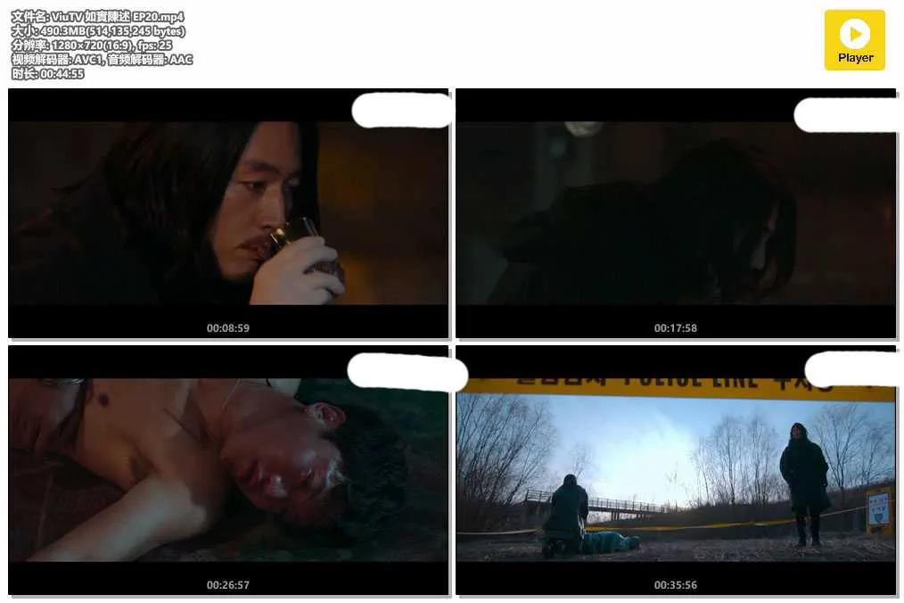 插图:《如实陈述》(Tell Me What You Saw) (2020) [全20集] 粤语 720P [百度网盘]，编号:653