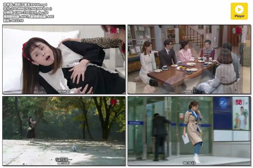 插图:《拜托了夏天》(Home for Summer) (2019) [全164集] 粤语 720P [百度网盘]，编号:538