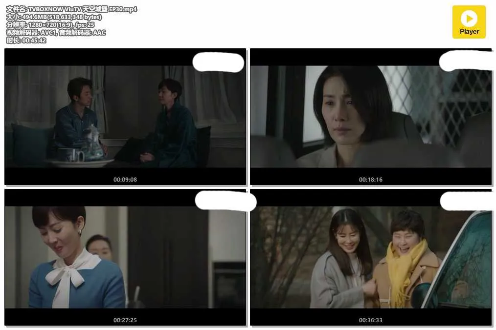 插图:《天空城堡》(SKY Castle) (2018) [全30集] 粤语 720P [百度网盘]，编号:96