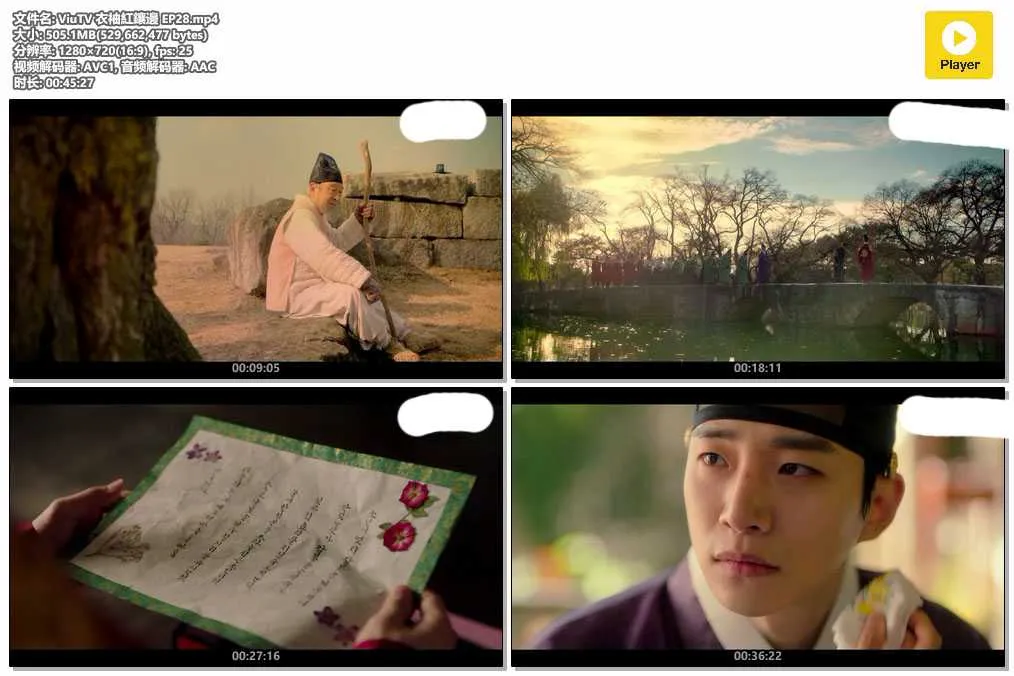 插图:《衣袖红镶边》(The Red Sleeve) (2021) [全28集] 粤语 720P [百度网盘]，编号:683