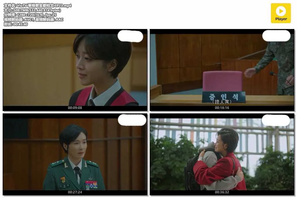 插图:《军检察官都柏文》(Military Prosecutor Doberman) (2022) [全23集] 粤语 720P [百度网盘]，编号:639