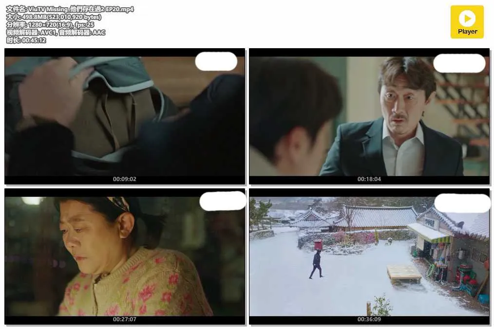 插图:《Missing：他们存在过2》(Missing: The Other Side 2) (2022) [全20集] 粤语 720P [百度网盘]，编号:317