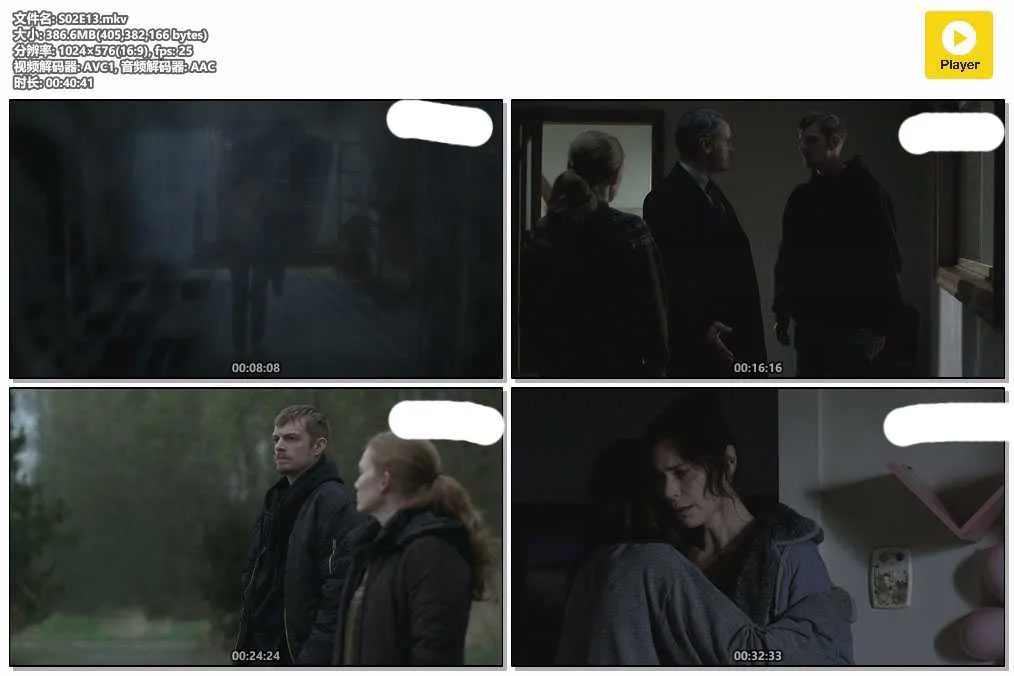插图:《缉凶记》第二季 (The Killing Season 2) (2012) [全13集] 粤英双语 576P [百度网盘]，编号:920