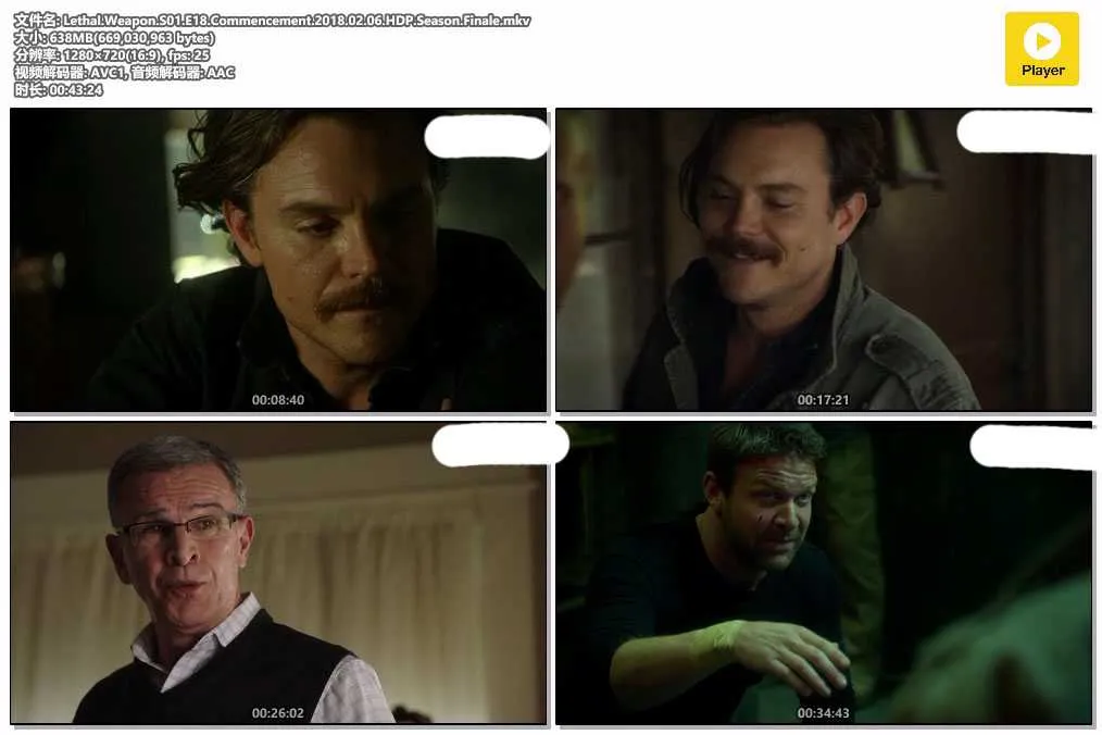 插图:《轰天炮》第一季 (Lethal Weapon S01) (2016) [全18集] 粤英双语 720P [百度网盘]，编号:564