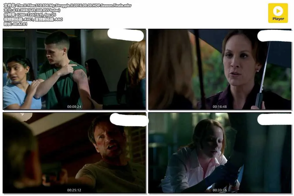 插图:《X档案》第十季 (The X-Files Season 10) (2016) [全6集] 粤英双语 720P [百度网盘]，编号:858