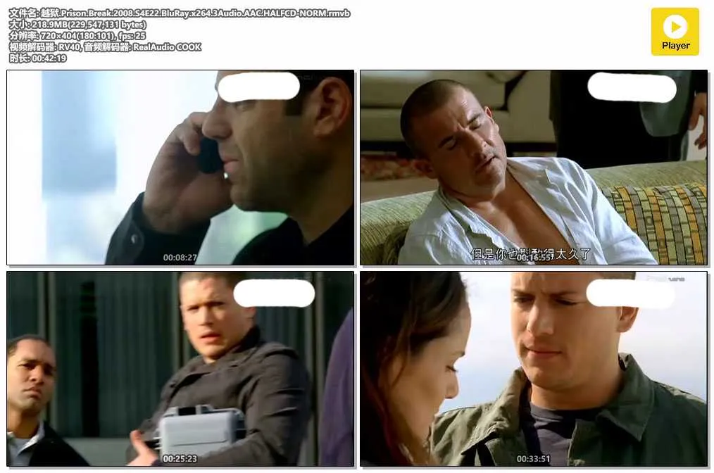插图:《越狱》第四季 (Prison Break Season 4) (2008) [全22集] 粤语中字 标清 [百度网盘]，编号:60